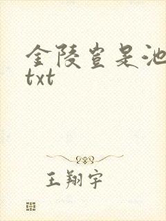 金陵岂是池中物txt