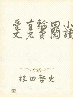 爱有轮回小说全文免费阅读