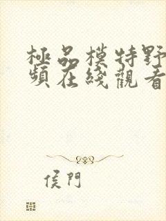 极品模特野战视频在线观看