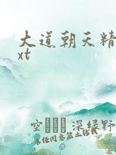 大道朝天精校txt