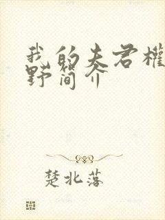 我的夫君权倾朝野简介