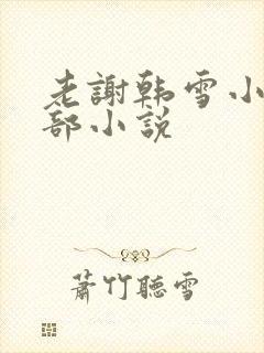 老谢韩雪小说全部小说