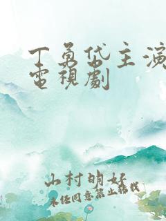 丁勇岱主演过的电视剧
