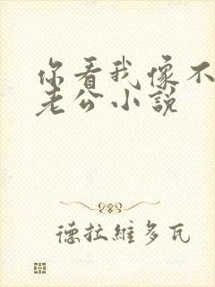你看我像不像你老公小说
