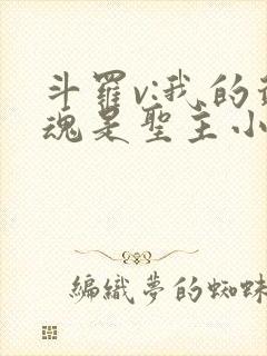 斗罗v:我的武魂是圣主小说完整