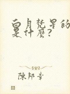 白月梵星的结局是什么? 白月梵星的结局是什么?