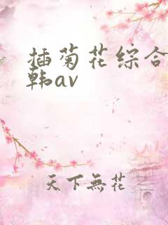 插菊花综合网日韩av