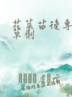 花菜苗后专用除草剂