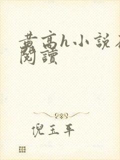 黄高h小说在线阅读