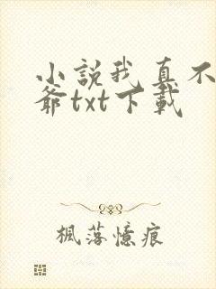 小说我真不是法爷txt下载