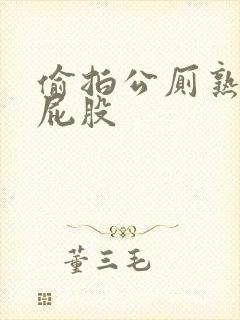 偷拍公厕熟女大屁股