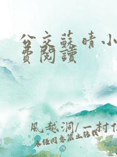公交苏晴小说免费阅读