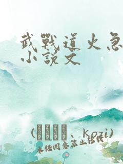 武战道火急cp小说文