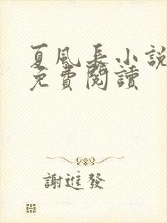 夏风长小说全文免费阅读