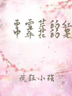 曹雪芹的红楼梦中葬花的是谁