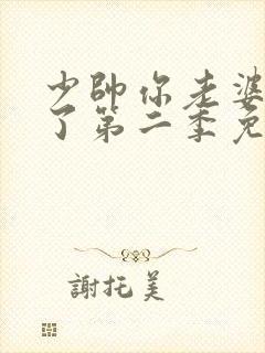 少帅你老婆又跑了第二季免费观看