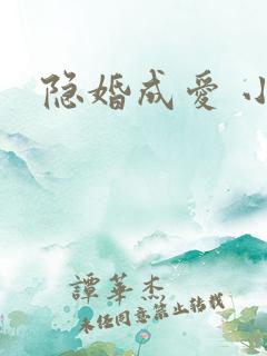 隐婚成爱 小说