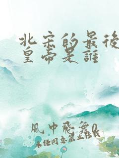 北宋的最后一个皇帝是谁