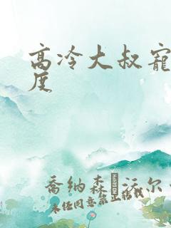 高冷大叔宠妻无度
