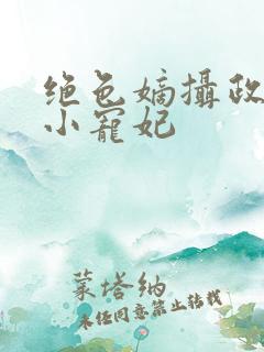 绝色嫡摄政王的小宠妃