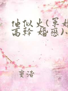 他似火(军婚 高干 婚恋)小说