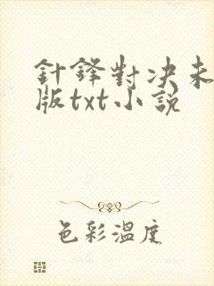 针锋对决未删减版txt小说