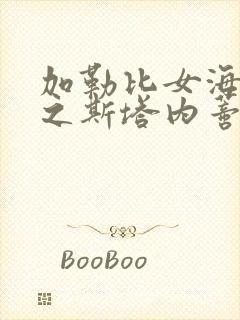 加勒比女海盗2之斯塔内蒂的复仇