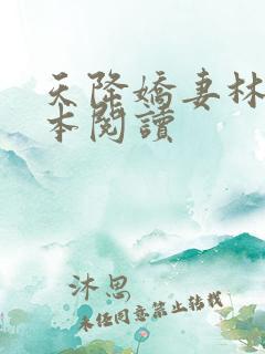 天降娇妻林皓全本阅读
