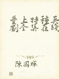 爱上特种兵电视剧全集在线免费