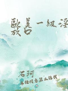 欧美一级淫片播放口