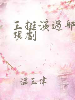 王挺演过哪些电视剧