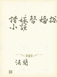 错嫁替婚总裁 小说