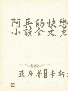 阿兵的快乐生活小说全文免费阅读
