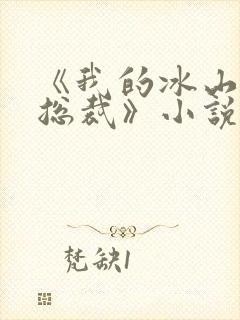 《我的冰山美女总裁》小说