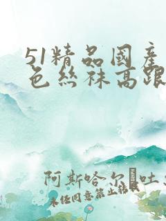 51精品国产黑色丝袜高跟鞋