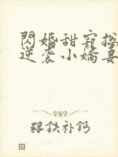 闪婚甜宠总裁的逆袭小娇妻