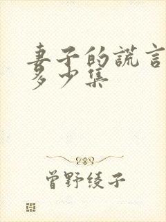 妻子的谎言一共多少集