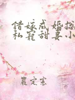 错嫁成婚总裁的私宠甜妻小说