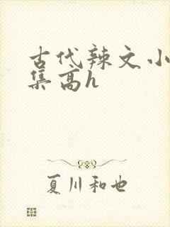 古代辣文小说合集高h