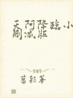 天阿降临小说未删减版