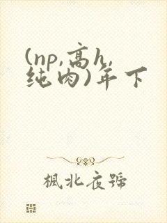 (np,高h,纯肉)年下