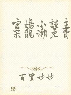 官场小说主人公宋观潮免费阅读