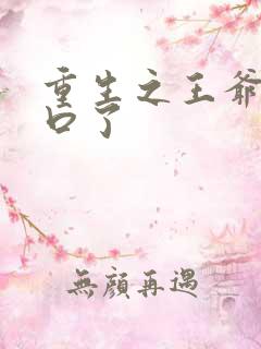 重生之王爷太重口了