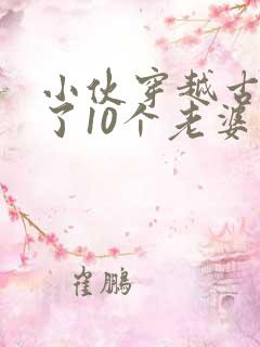 小伙穿越古代娶了10个老婆