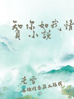 知你如我情深不负 小说
