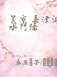 吴京 长津湖之水门桥