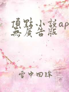 顶点小说app无广告版