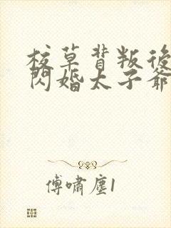 校草背叛后,我闪婚太子爷气疯他结局