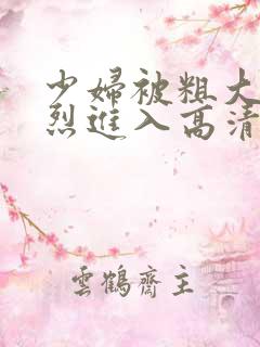 少妇被粗大的猛烈进入高清视频