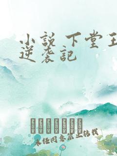 小说 下堂王妃逆袭记